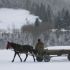 Winter in the Carpathians